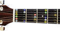 Guitar Fret Stickers - Color Coded